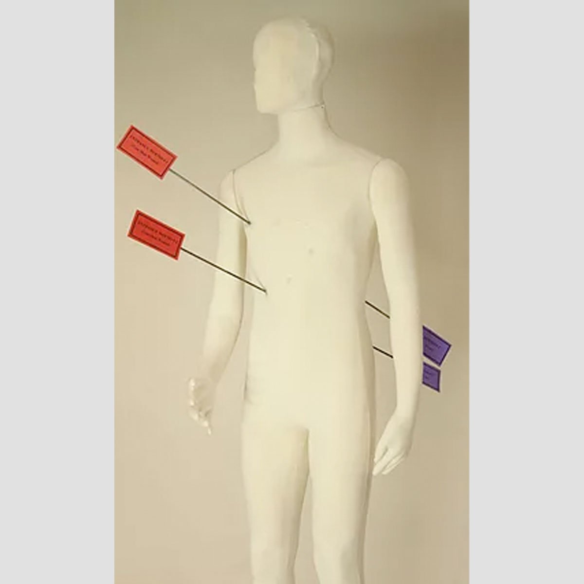 Dummies Unlimited Poly-Flex Forensic Mannequin-Tactical Source LLC