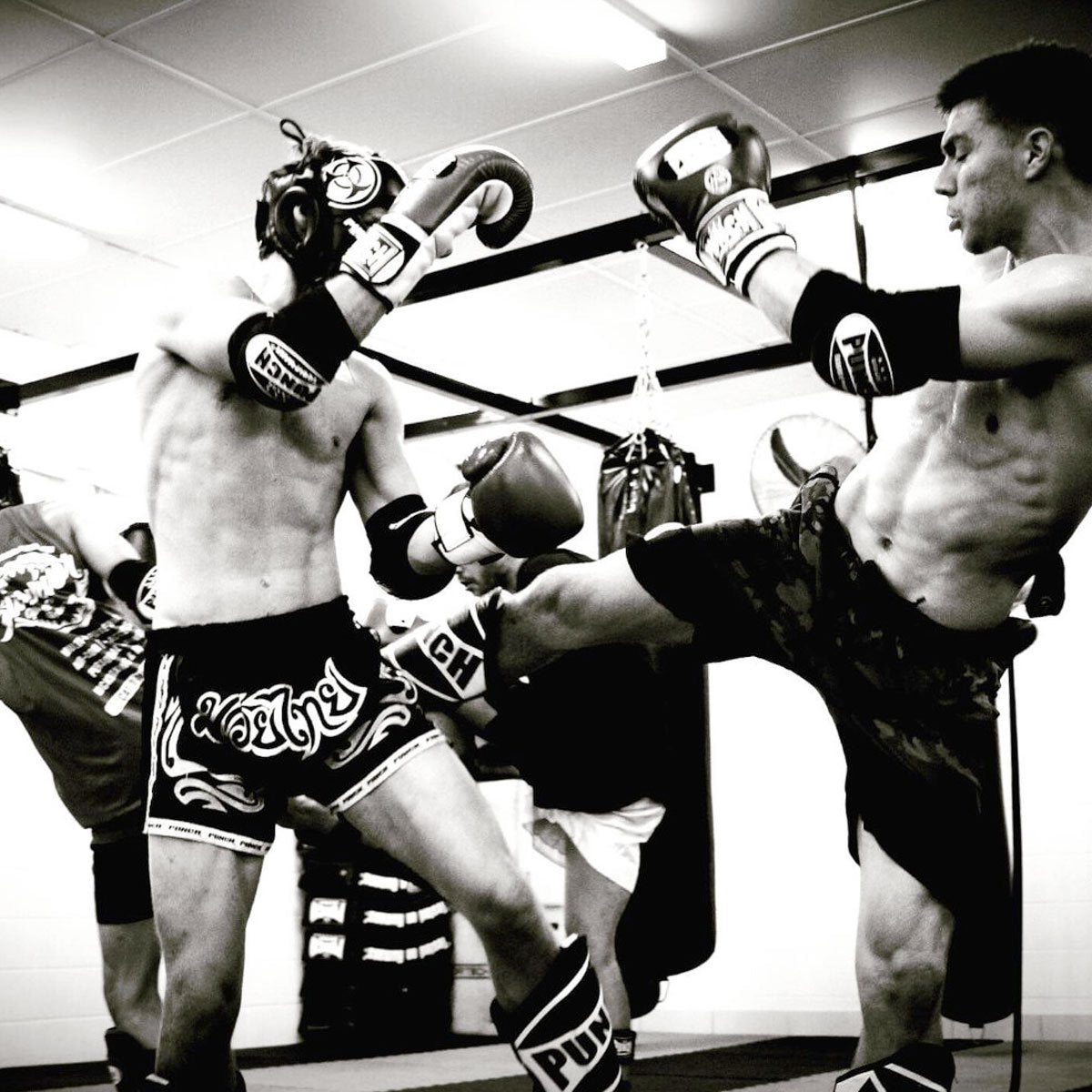 Punch Equipment Punch Muay Thai Elbow Pads-Tactical Source LLC