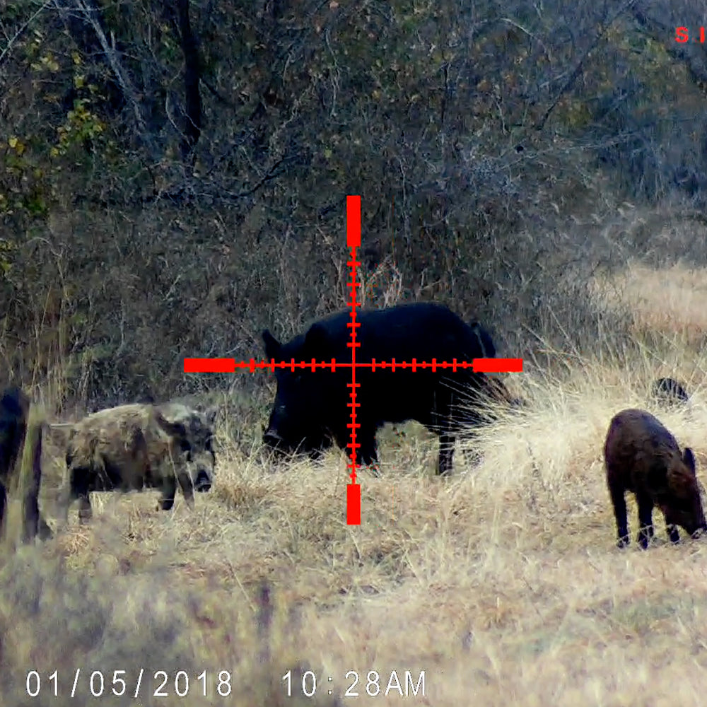 Sightmark Wraith HD 4-32x50 Digital Riflescope-Tactical Source LLC