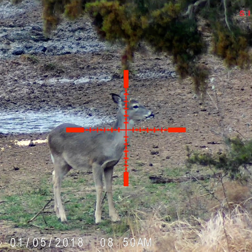 Sightmark Wraith HD 4-32x50 Digital Riflescope-Tactical Source LLC