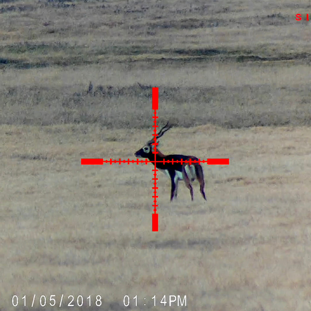 Sightmark Wraith HD 4-32x50 Digital Riflescope-Tactical Source LLC