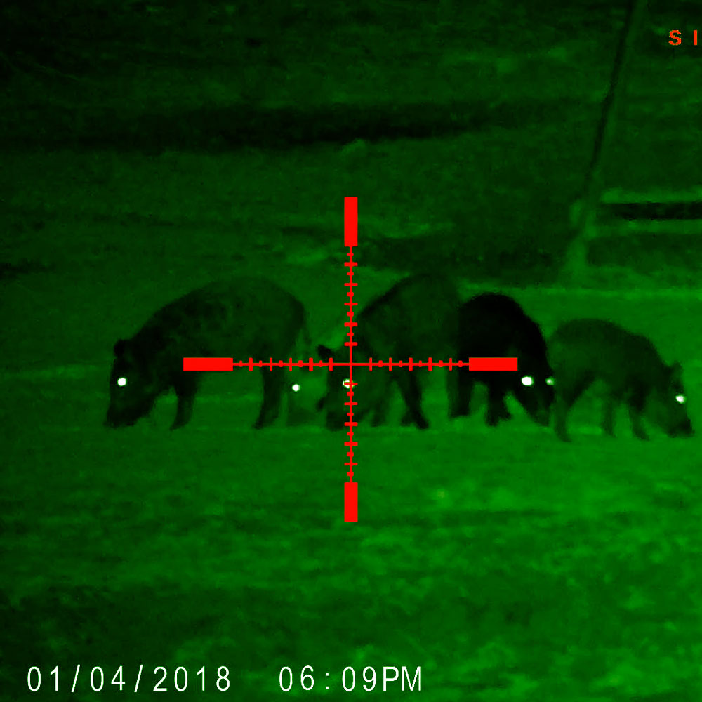 Sightmark Wraith HD 4-32x50 Digital Riflescope-Tactical Source LLC