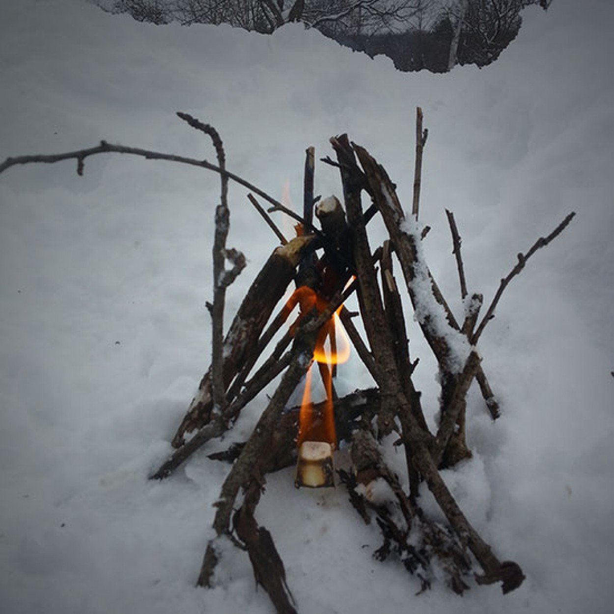 Survive Outdoors Longer SOL All Weather Fire Cubes-Tactical Source LLC