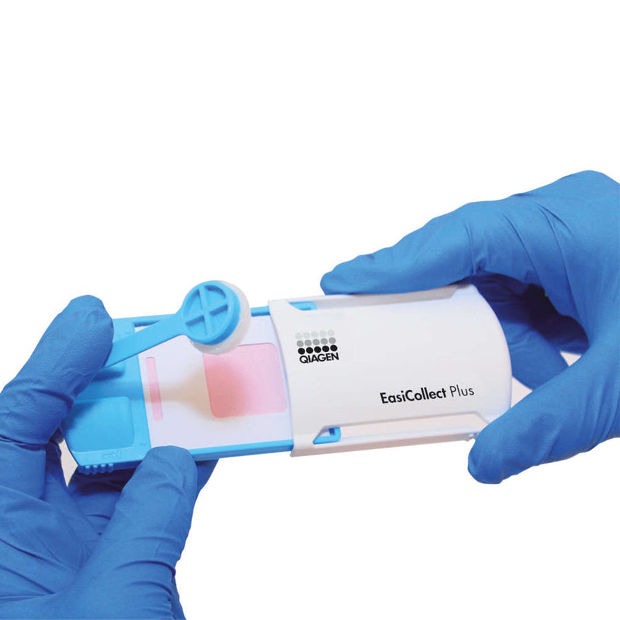 Arrowhead Forensics EasiCollect + (Plus) Buccal Sample Collection Device - 50/pk-Tactical Source LLC