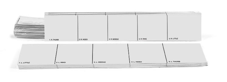 Arrowhead Forensics Replacement Record Strip - Left & Right Hand - 100 each hand-Tactical Source LLC