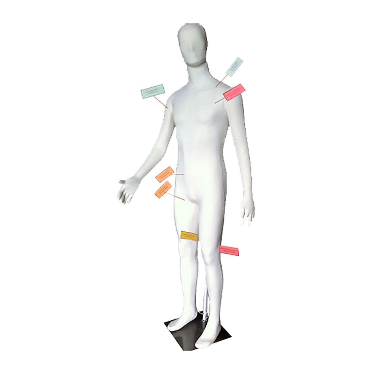 Dummies Unlimited Poly-Flex Forensic Mannequin-Tactical Source LLC