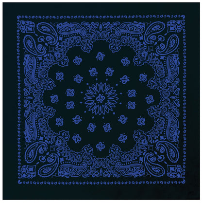 Milspec Trainmen Paisley Bandana – Extra-Large 27” X 27"-Tactical Source LLC