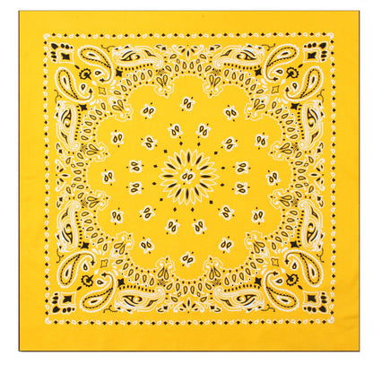 Milspec Trainmen Paisley Bandana – Extra-Large 27” X 27"-Tactical Source LLC