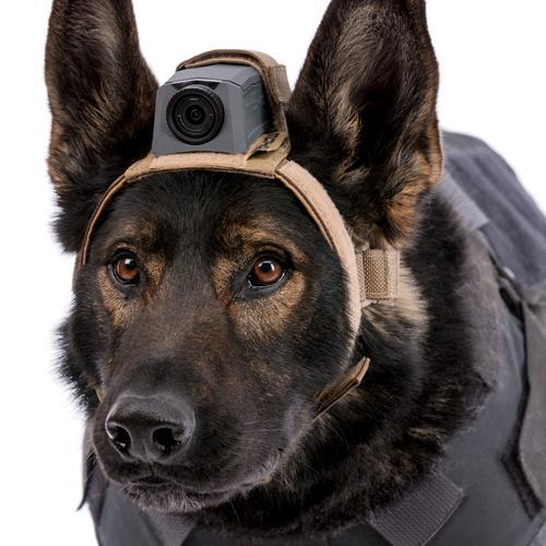 MOHOC K9 Mount-Tactical Source LLC