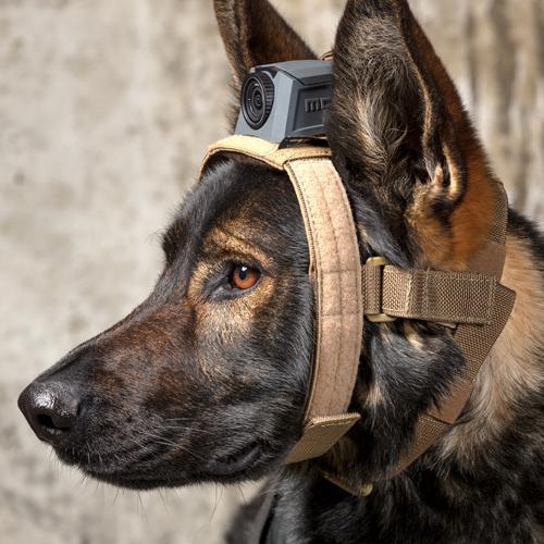 MOHOC K9 Mount-Tactical Source LLC